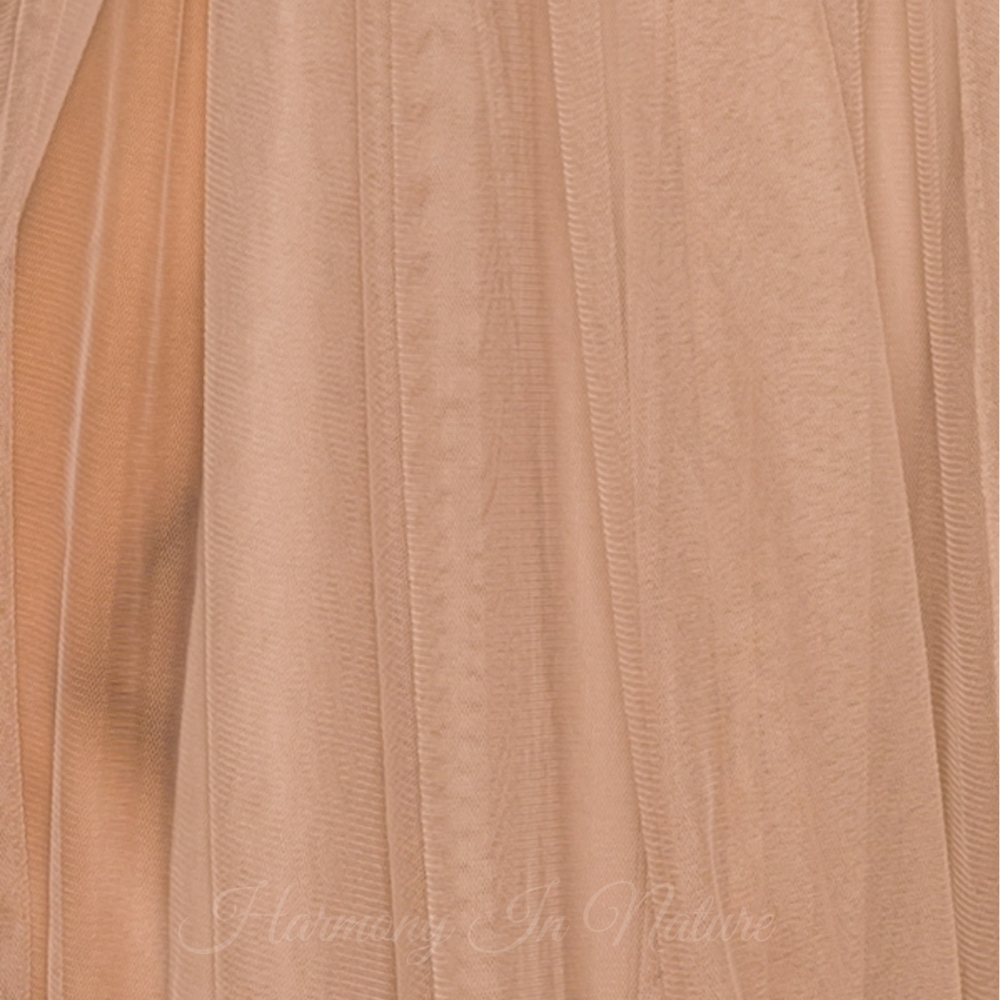 LAST❤NEW Sheer Mesh Maxi Dress - Picture 3 of 3